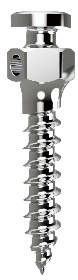 CAPSTAY