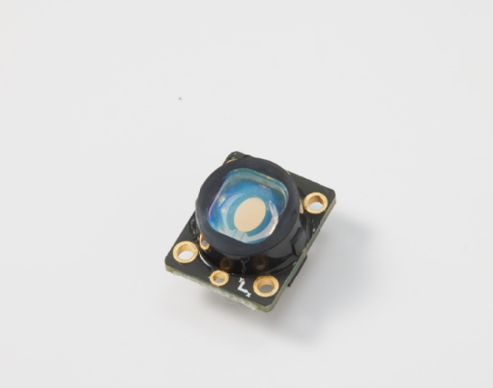 CAPSTAY