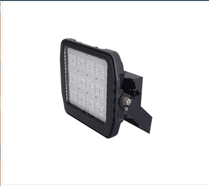 CAPSTAY