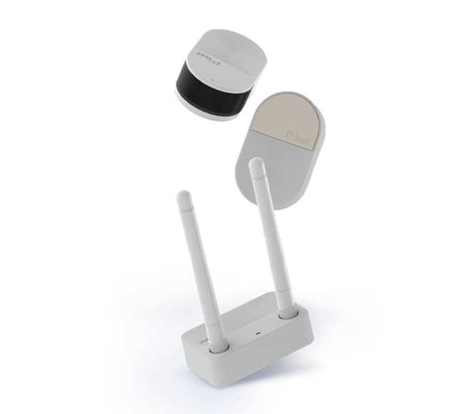 CAPSTAY