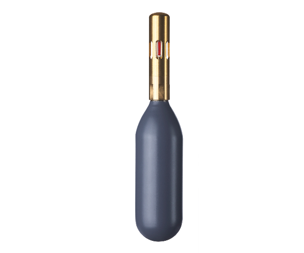 CAPSTAY