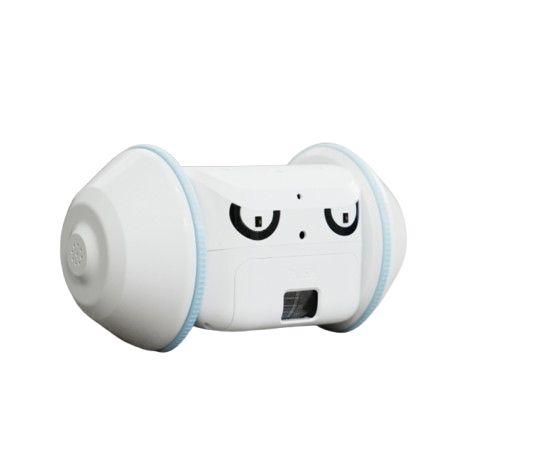 CAPSTAY