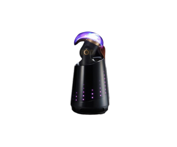 CAPSTAY