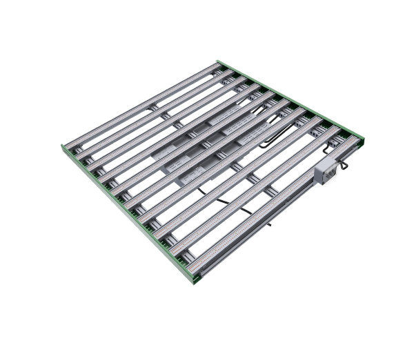 CAPSTAY