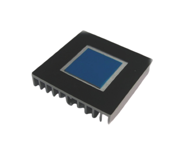 CAPSTAY